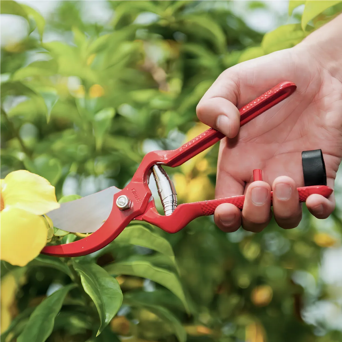 TIJERA 3501-180 7" (100618FBL) BELLOTA - Vista 4